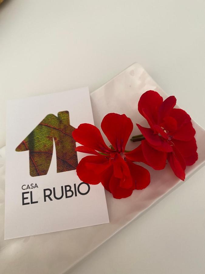 Casa El Rubio Villa San Vicente de la Sonsierra Exteriör bild